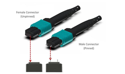 Male and Female Connector